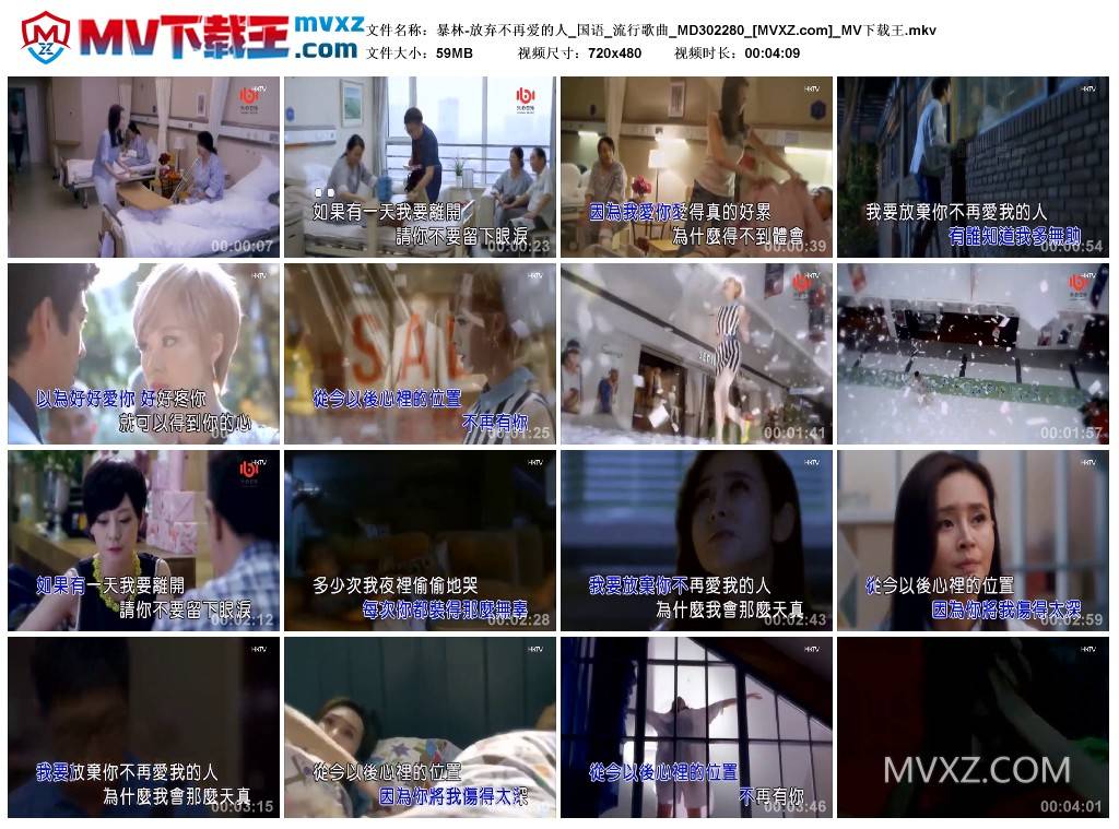 暴林-放弃不再爱的人_国语_流行歌曲_MD302280